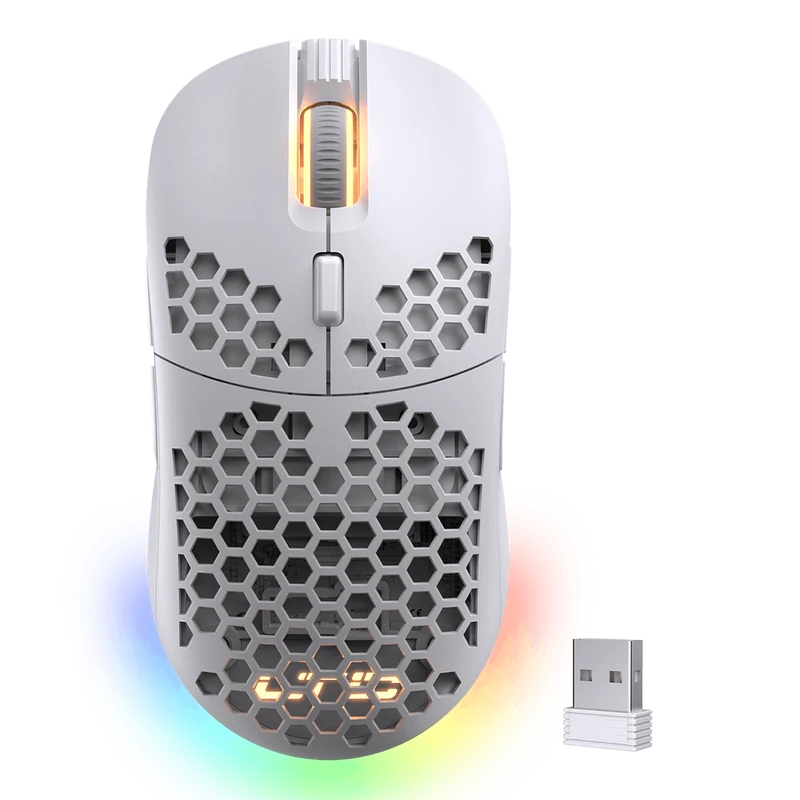 Redragon x LTC RGB Wireless/Wired Gaming Mouse