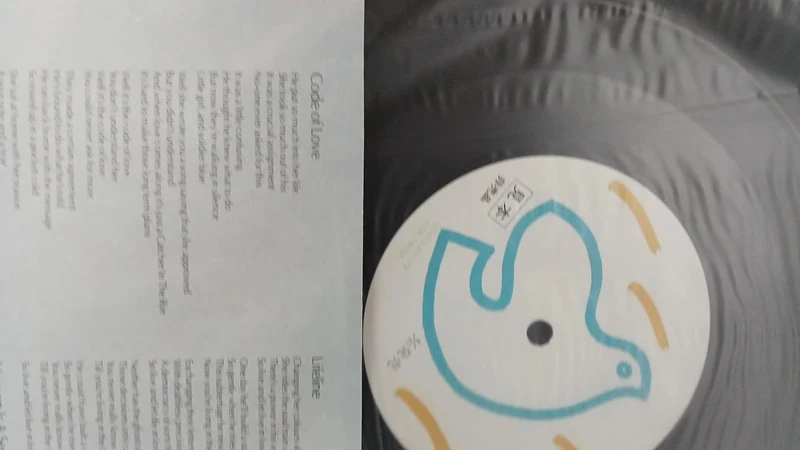 Disque d'échantillons Toshiba, enregistrement inutilisé, True Spander Ballet