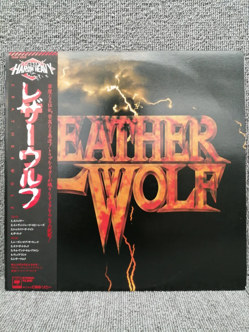 Disque vinyle analogique SONY LEATHERWOLF