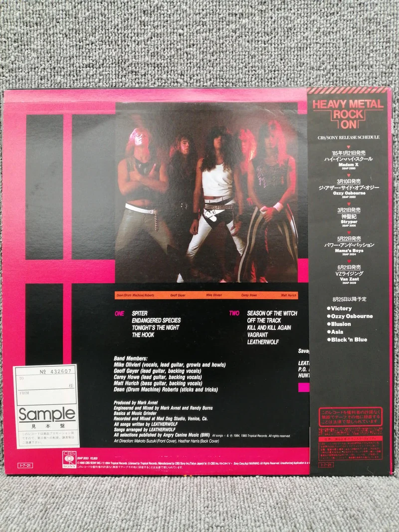 Disque vinyle analogique SONY LEATHERWOLF