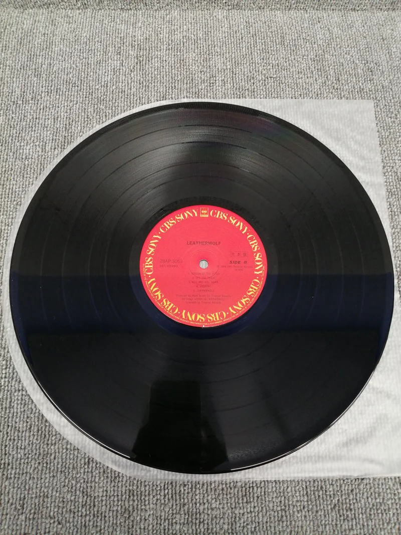 Disque vinyle analogique SONY LEATHERWOLF