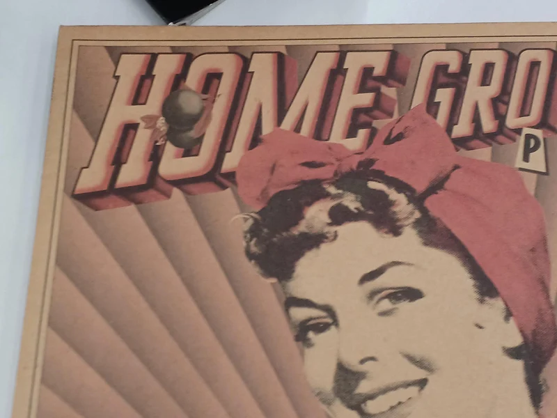 Disque d'échantillons SONY HOME GROWN PARTY VOL.1 XDAH 93010