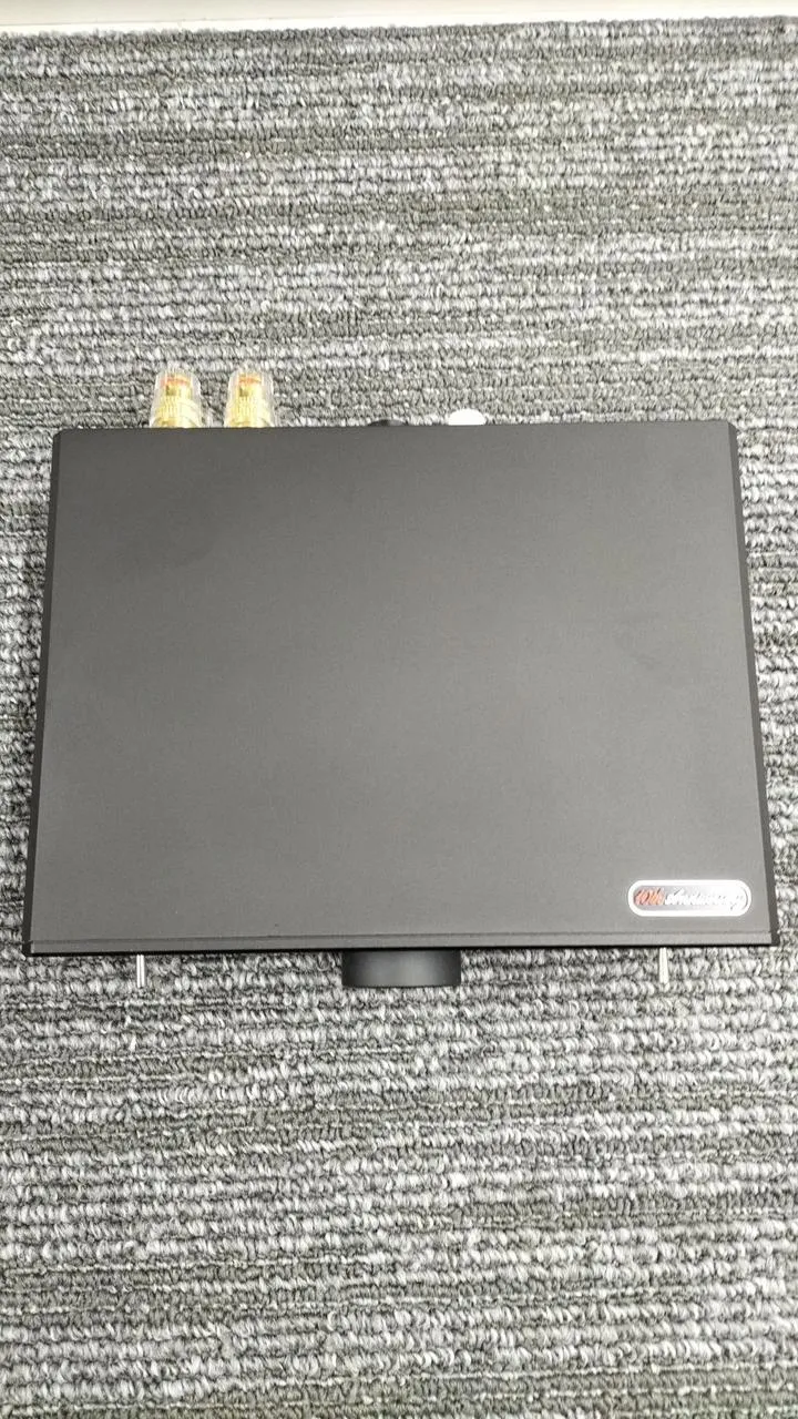 Amplificateur de puissance AIYIMA AUDIO A20