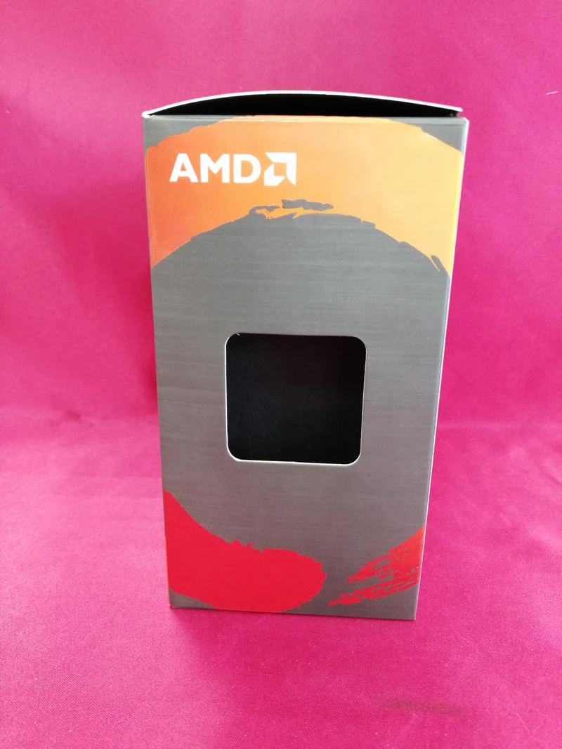 Processeur AMD Ryzen 5 5600G