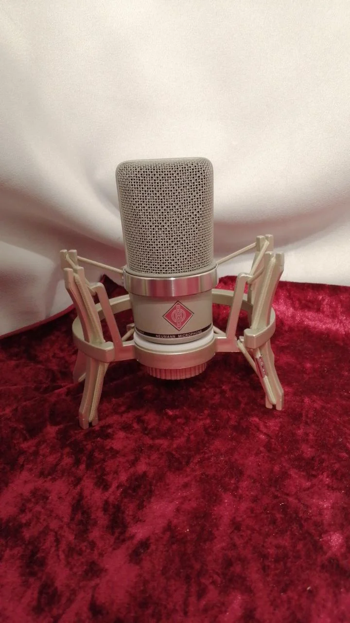 Microphone à condensateur NEUMANN TLM102