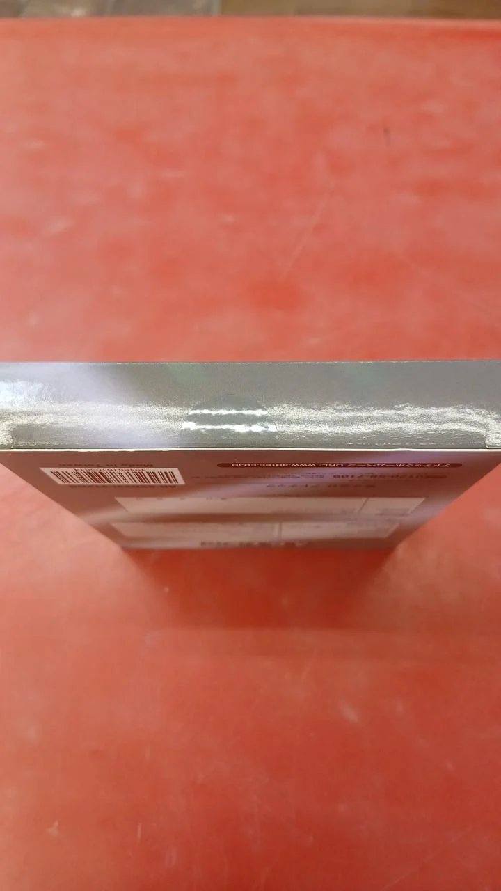 SSD ADTEC AD-SSD25I-512 Go