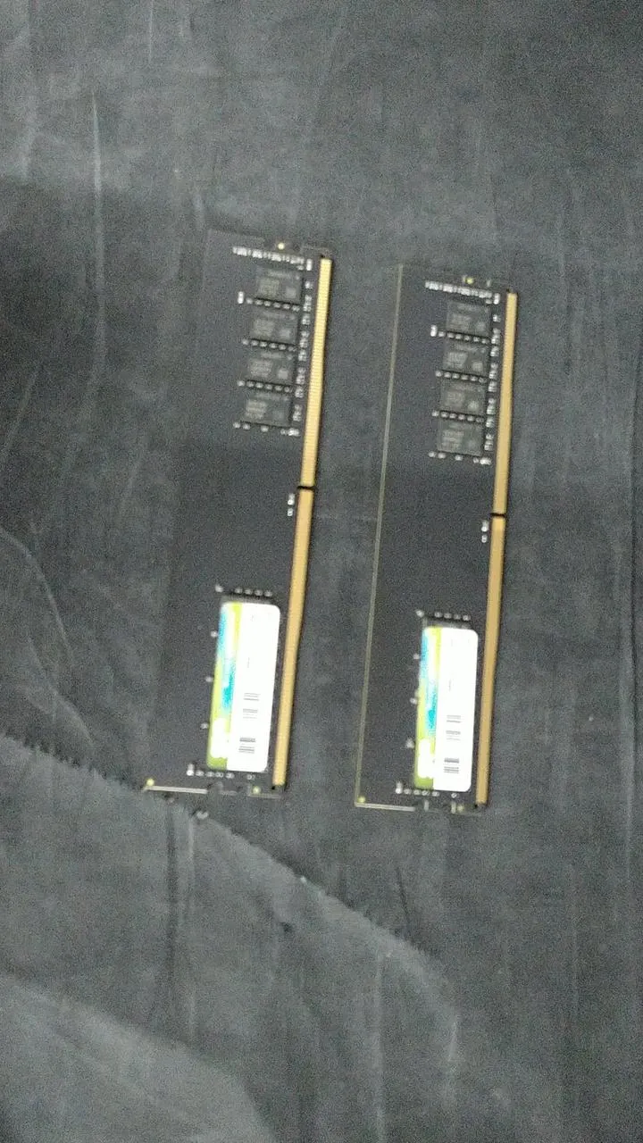 Mémoire SP CL19