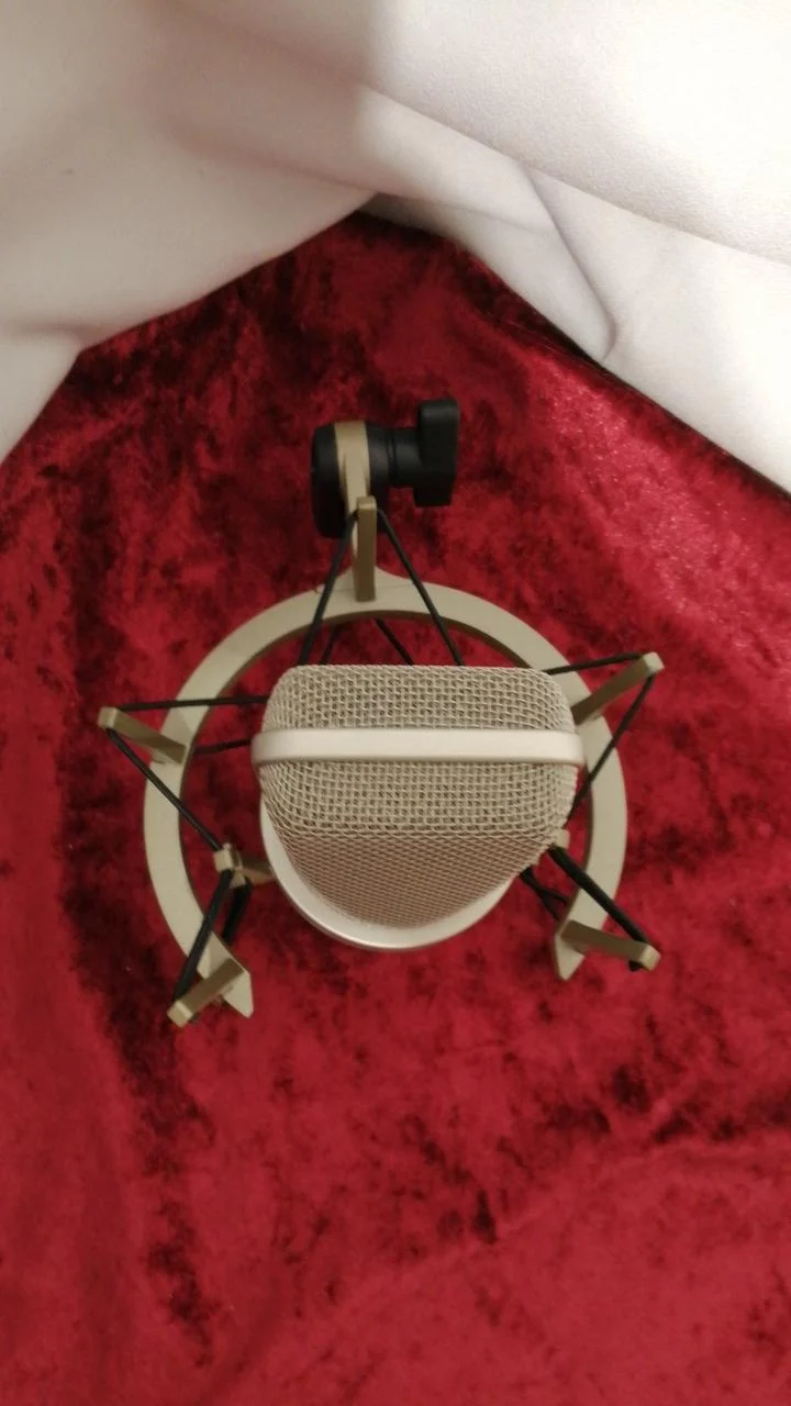 Microphone à condensateur NEUMANN TLM103+EA4