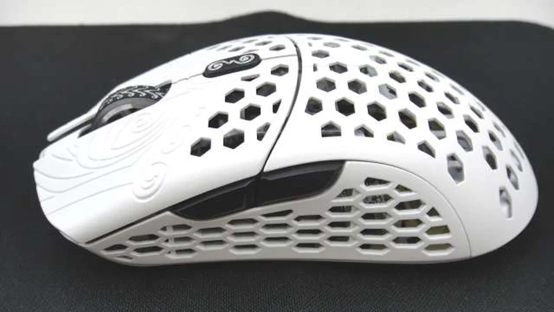 Souris de jeu sans fil FINAL MOUSE STARLIGHT 12 PEGASUS