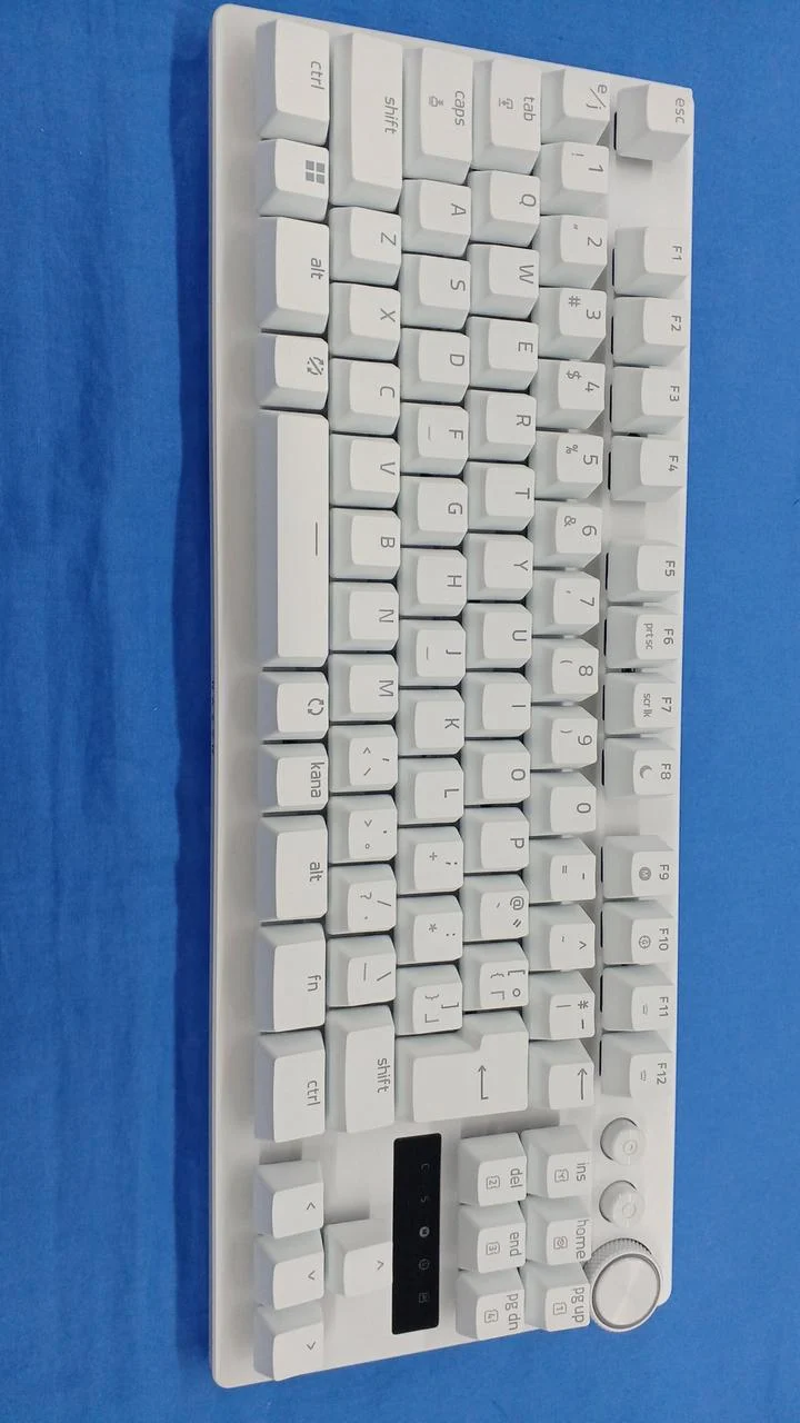 Clavier de jeu RAZER RZ03-0498
