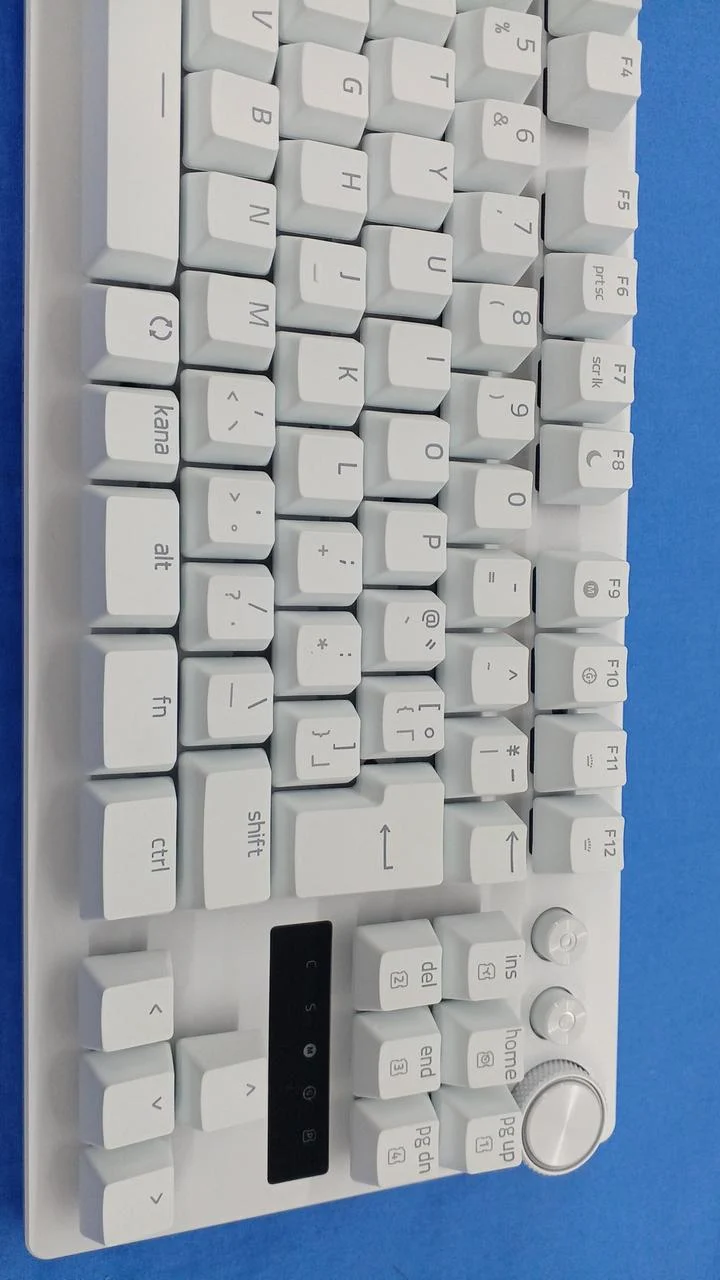 Clavier de jeu RAZER RZ03-0498