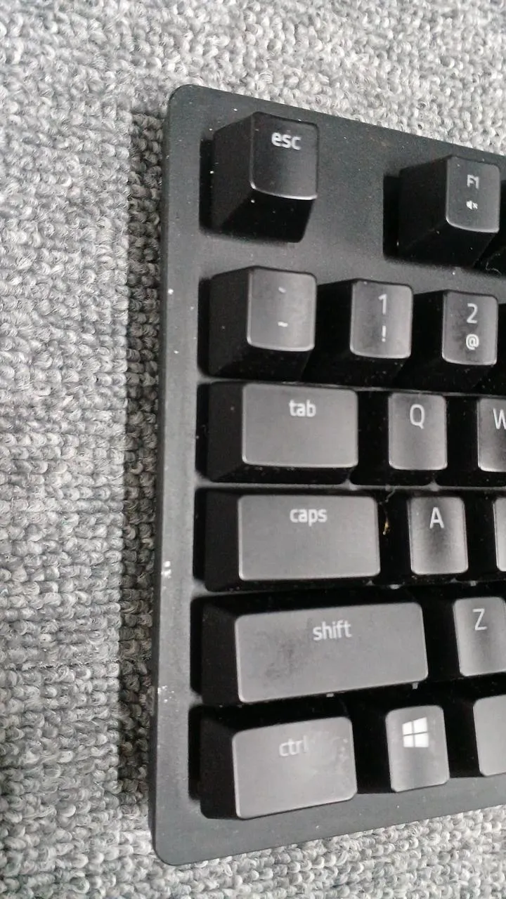 Clavier de jeu RAZER RZ03-02520100-R3M1