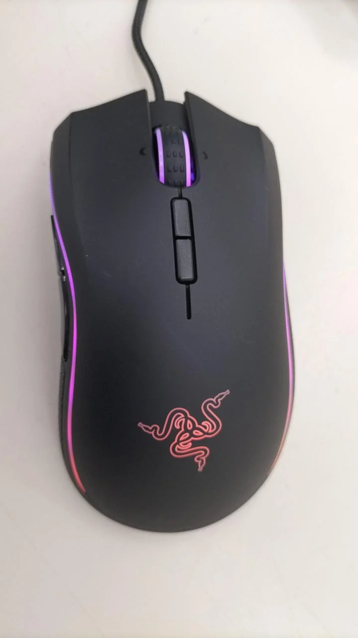 Souris de jeu RAZER RZ01-0137