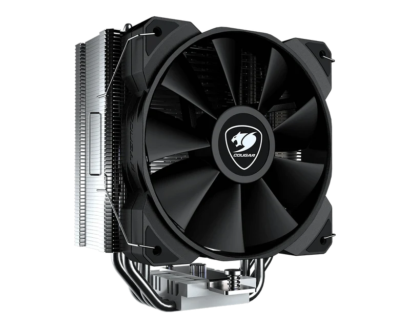 FORZA ESSENTIAL