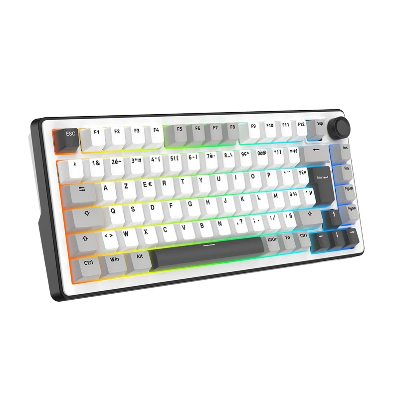 The G-Lab Keyz Elite 300 Wireless ISO FR - White/Gray