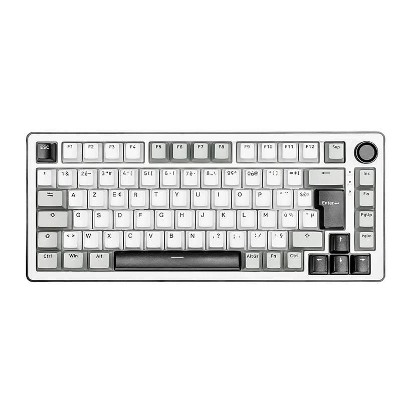 The G-Lab Keyz Elite 300 Wireless ISO FR - White/Gray