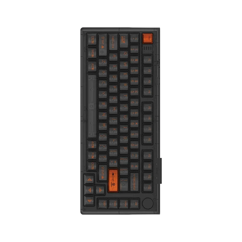 Darmoshark TOP75 Magnetic ANSI US Black [Raesha]