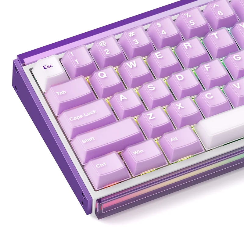 Akko RAY68 HE Wireless ANSI US Purple