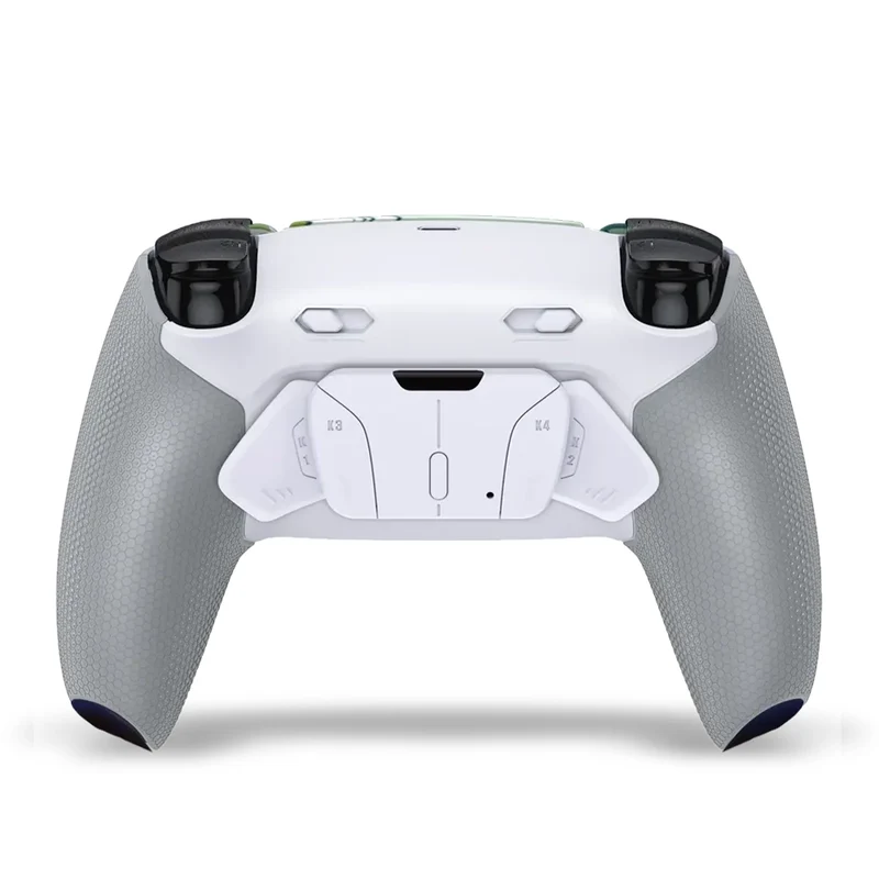 Draw My Pad PS5 Paddles FPS Mizuho LED