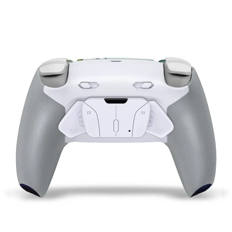 Draw My Pad PS5 Paddles FPS Mizuho