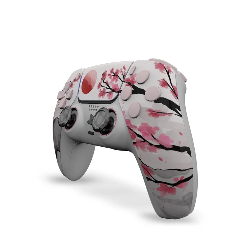 Draw My Pad PS5 Paddles FPS Hanami