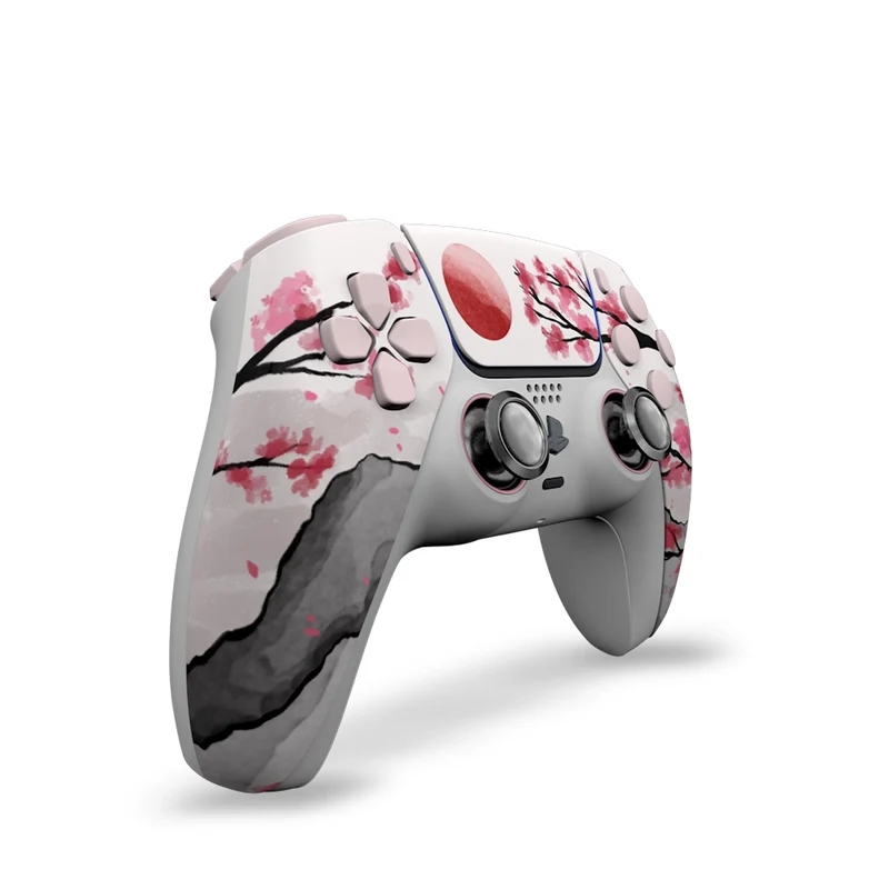 Draw My Pad PS5 Paddles FPS Hanami