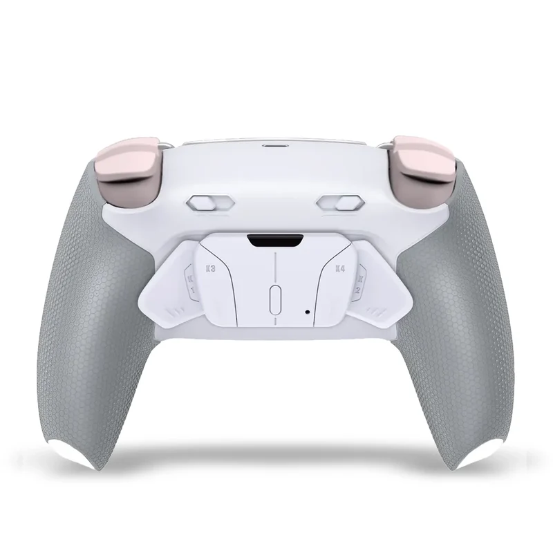 Draw My Pad PS5 Paddles FPS Hanami