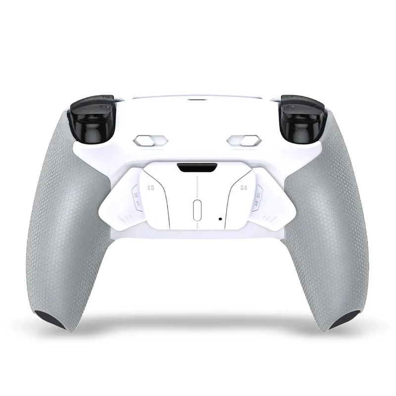 Draw My Pad PS5 Paddles FPS Koi