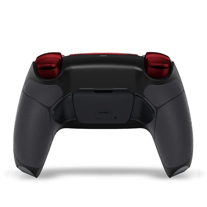 Draw My Pad PS5 Paddles Shadow Spider