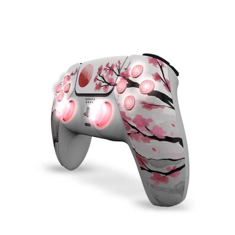 Draw My Pad PS5 Paddles Hanami LED