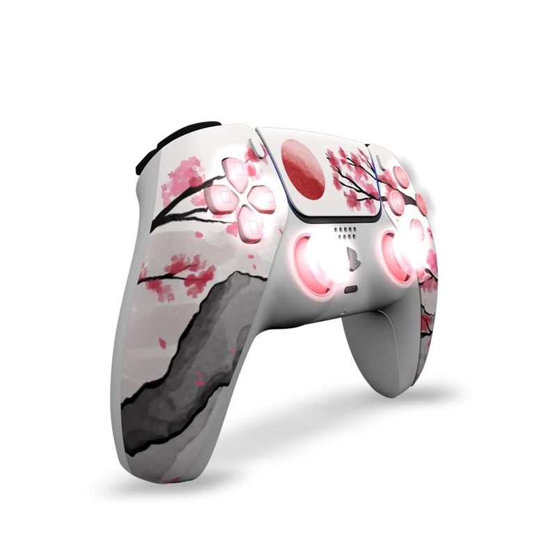 Draw My Pad PS5 Paddles Hanami LED