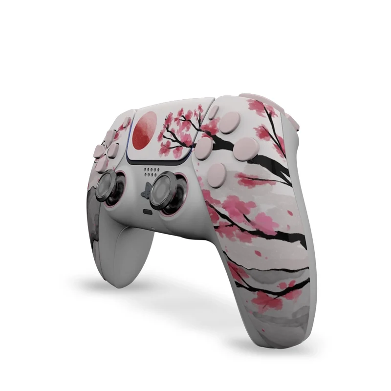 Draw My Pad PS5 Paddles Hanami