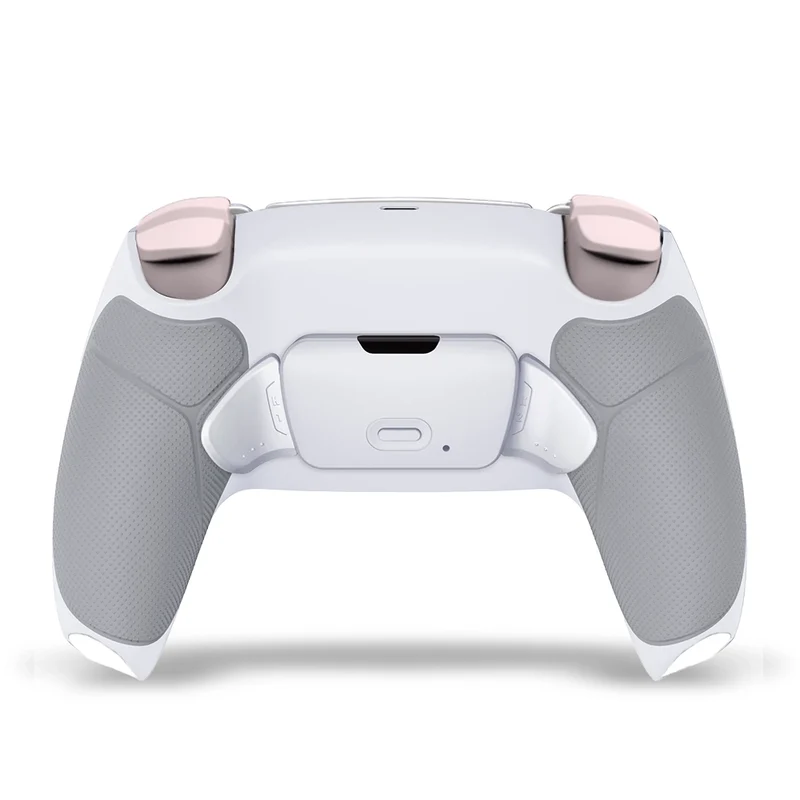 Draw My Pad PS5 Paddles Hanami