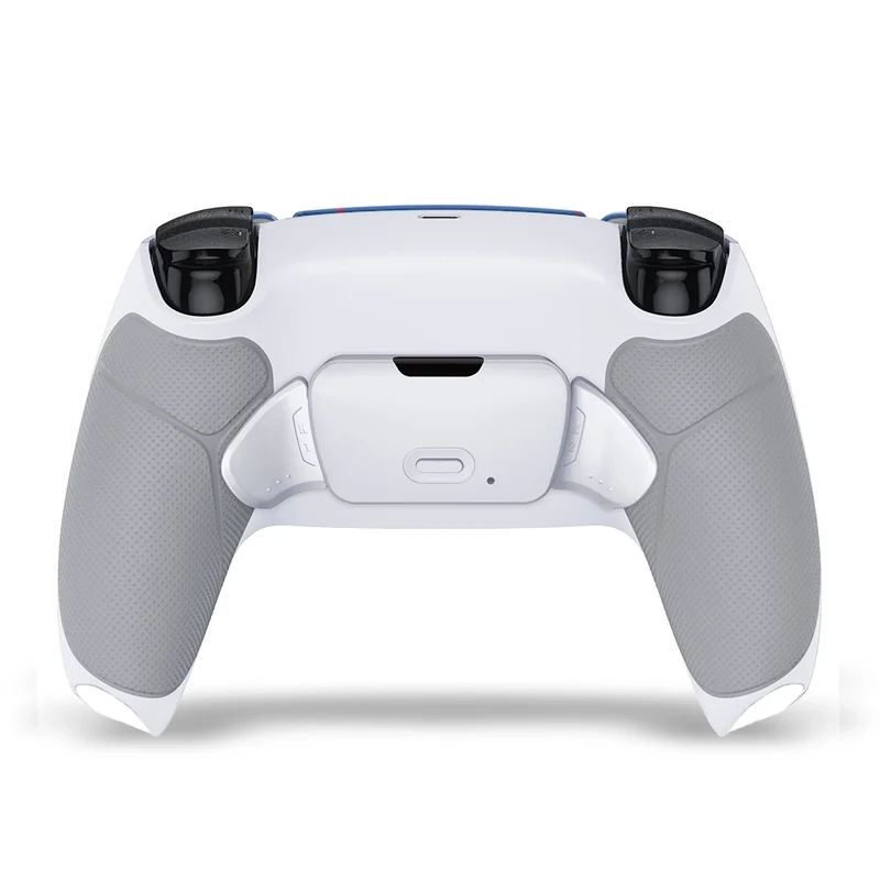 Draw My Pad PS5 Paddles OG Spider LED