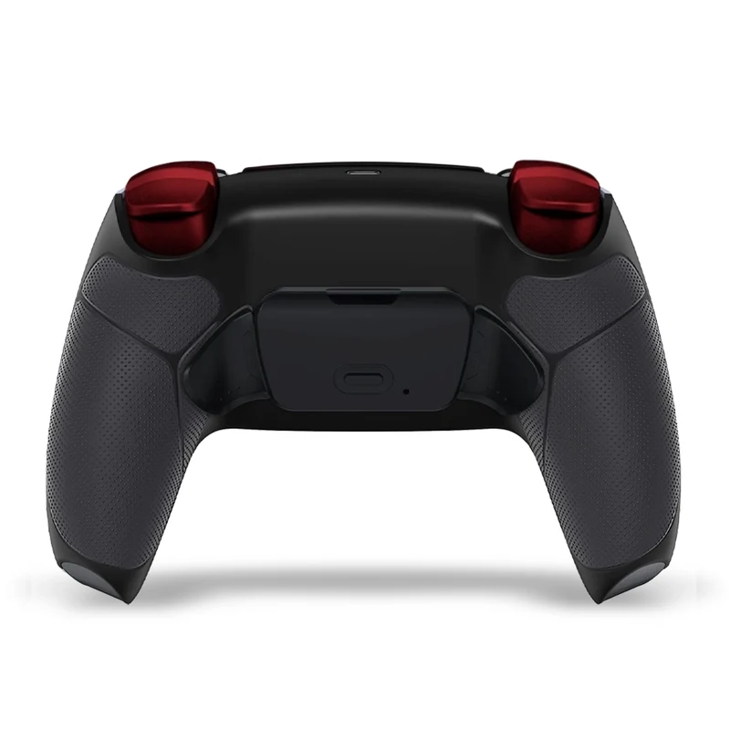 Draw My Pad PS5 Paddles Akatsuki