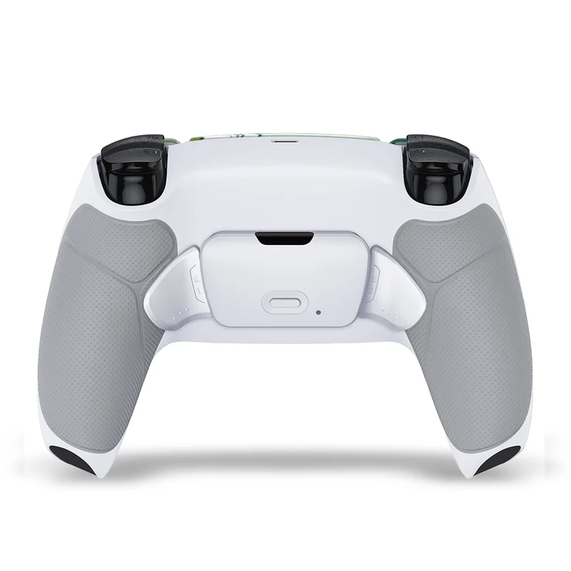 Draw My Pad PS5 Paddles Mizuho LED