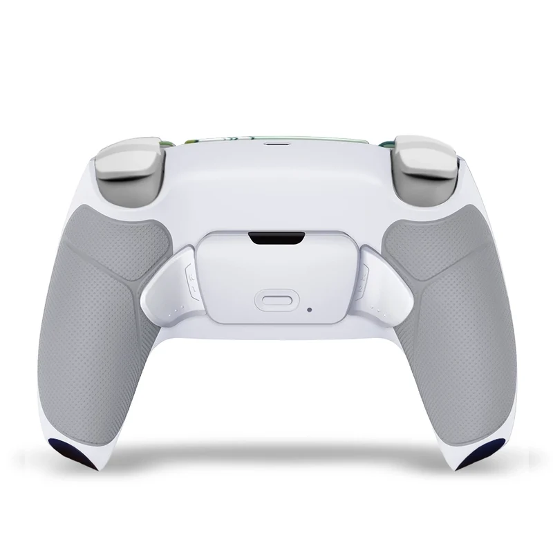 Draw My Pad PS5 Paddles Mizuho