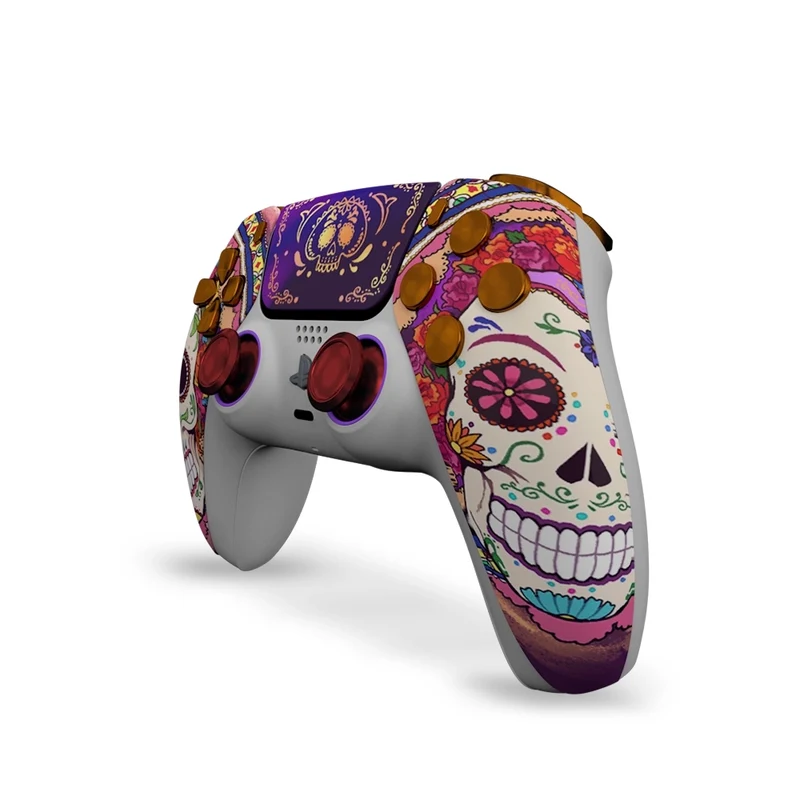 Draw My Pad PS5 Paddles Sinaloa