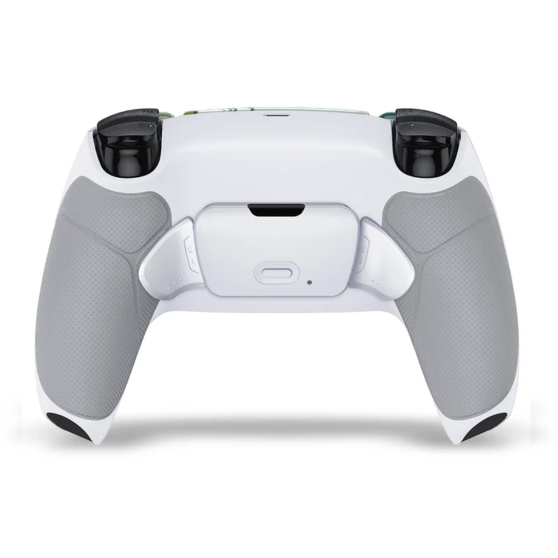 Draw My Pad PS5 Paddles Koi