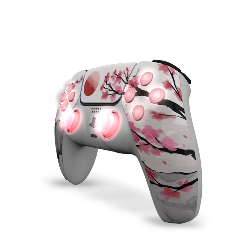 Draw My Pad PS5 Hanami LED