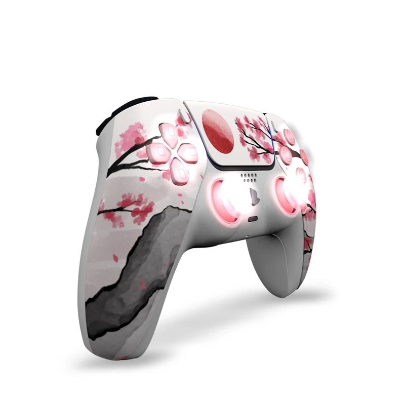 Draw My Pad PS5 Hanami LED