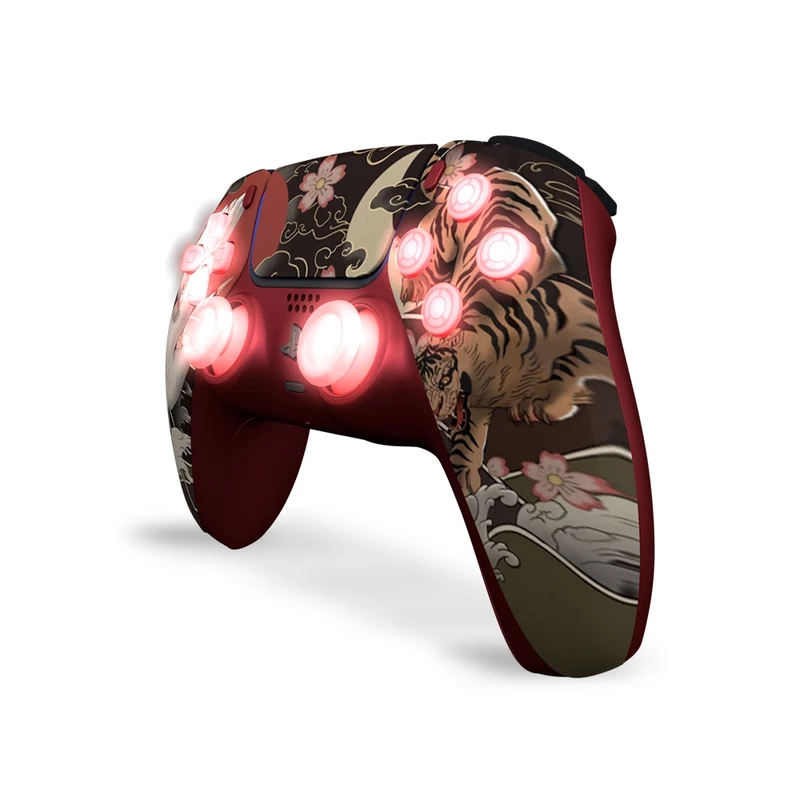 Draw My Pad PS5 Paddles Tsuru Leds