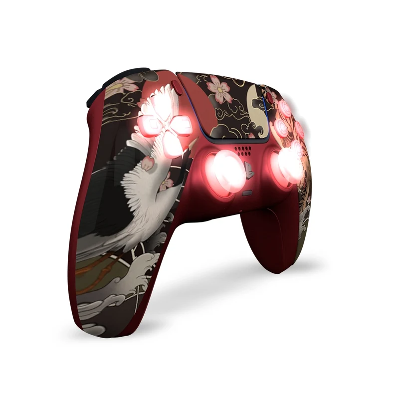 Draw My Pad PS5 Paddles Tsuru Leds