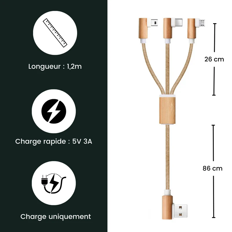Câble de charge 3 en 1