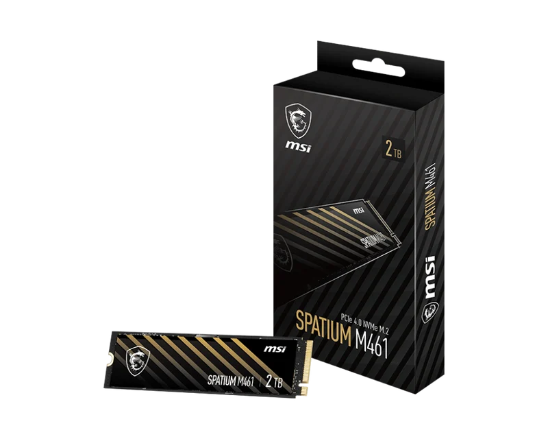 MSI SPATIUM M461 PCIe 4.0 NVMe M.2 2TB