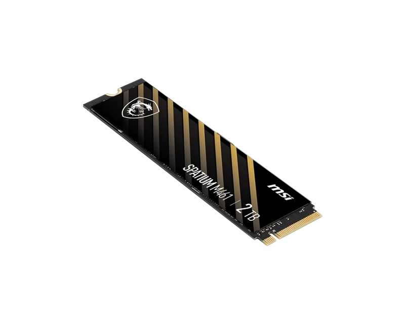 MSI SPATIUM M461 PCIe 4.0 NVMe M.2 2TB