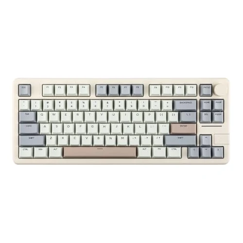 EPOMAKER Galaxy70 Wireless Gaming Keyboard, 75% Aluminium Mechanical Keyboard, Bluetooth 5.0/2.4GHz/USB-C Wired, Programmable, Hot Swappable, for PC/Mac/Office/Gaming (White, Zebra Switch)