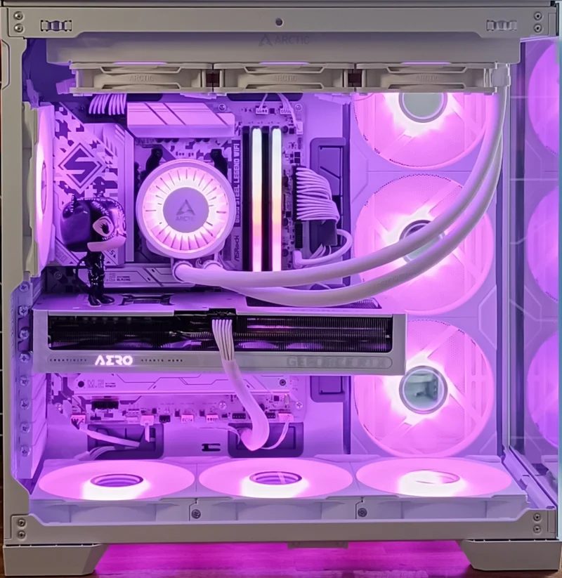 PC Catwoman
