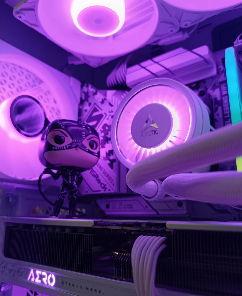 PC Catwoman